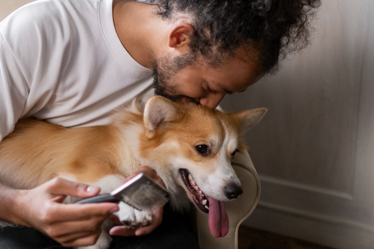 Cuidar de animais nas férias: a fórmula que evita o hotel para animais